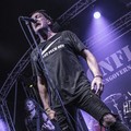Click to enlarge GutterPunk - Professional Concert Photography